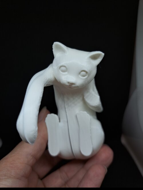 Gancho de Prateleira de Gato com Iluminação