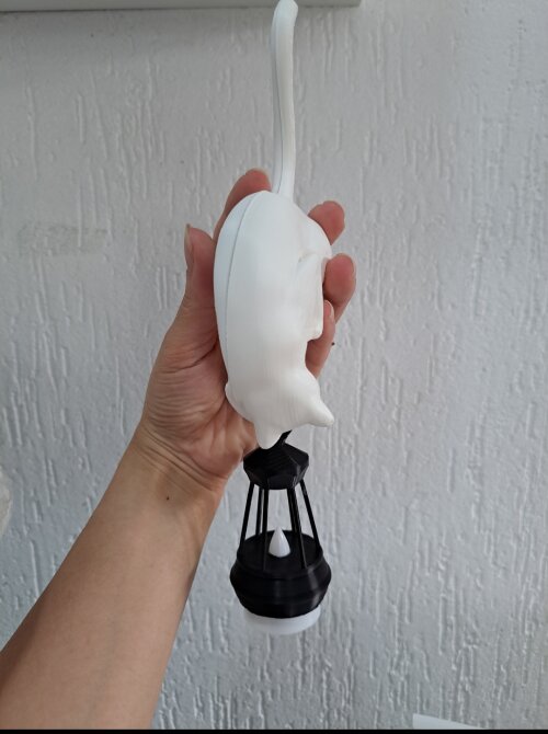 Gancho de Prateleira de Gato com Iluminação