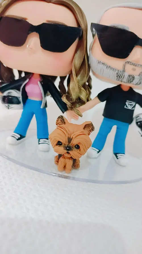 Funko pop casal personalizado biscuit