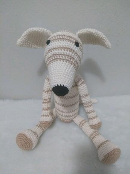 Cachorrinho Galgo Italiano