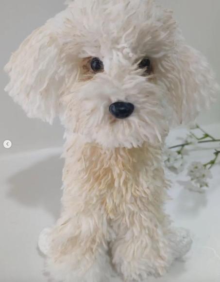 Cachorrinho Poodle - Amigurumi de Crochê