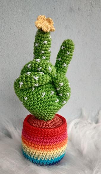 Cacto Paz e Amor