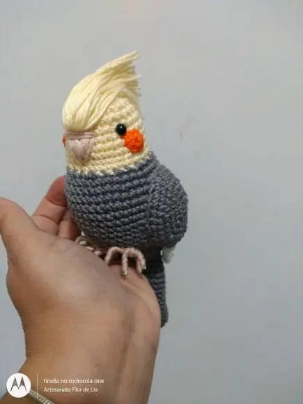 Amigurumi Calopsita