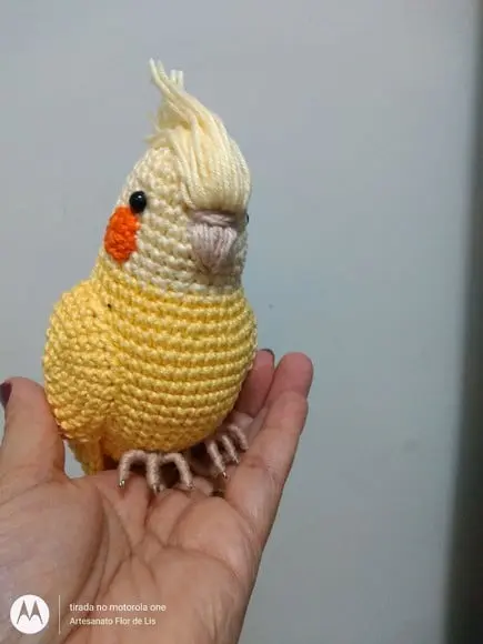 Amigurumi Calopsita