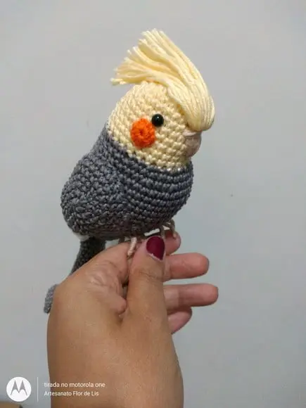 Amigurumi Calopsita