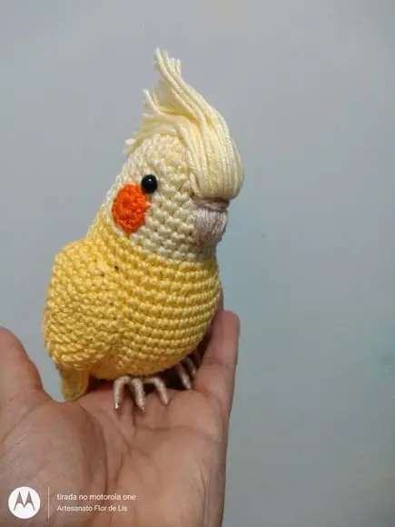 Amigurumi Calopsita