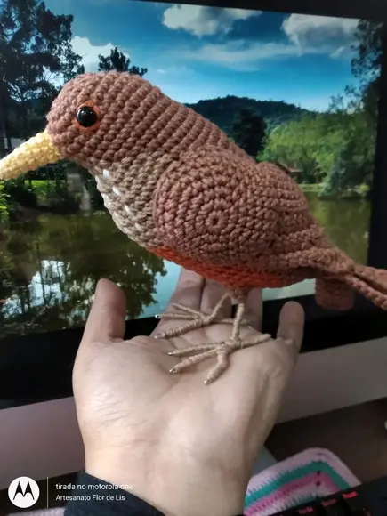 Amigurumi Sabiá