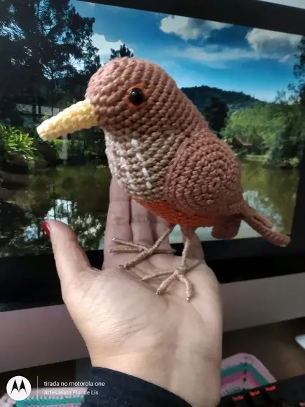 Amigurumi Sabiá