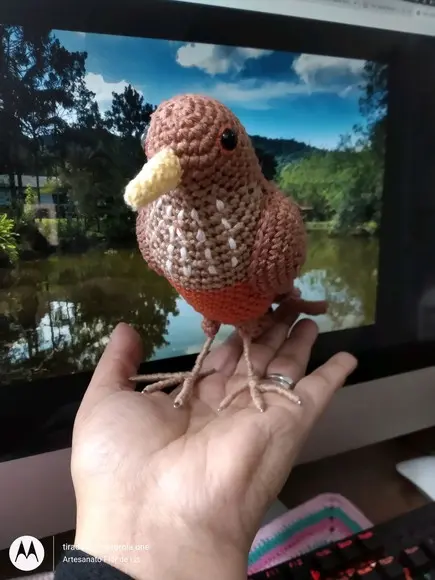 Amigurumi Sabiá