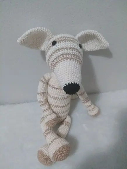 Cachorrinho Galgo Italiano