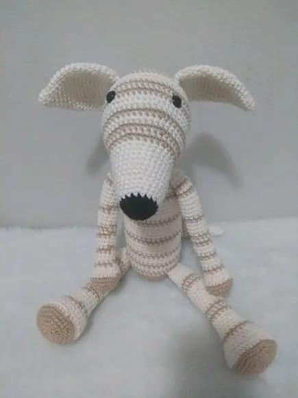 Cachorrinho Galgo Italiano