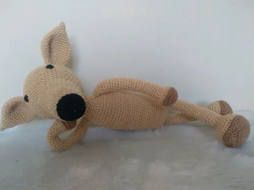 Cachorrinho Galgo Italiano