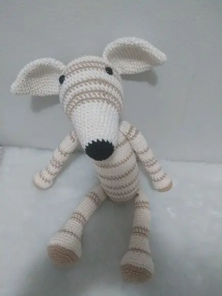 Cachorrinho Galgo Italiano