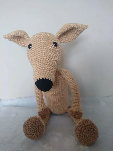 Cachorrinho Galgo Italiano