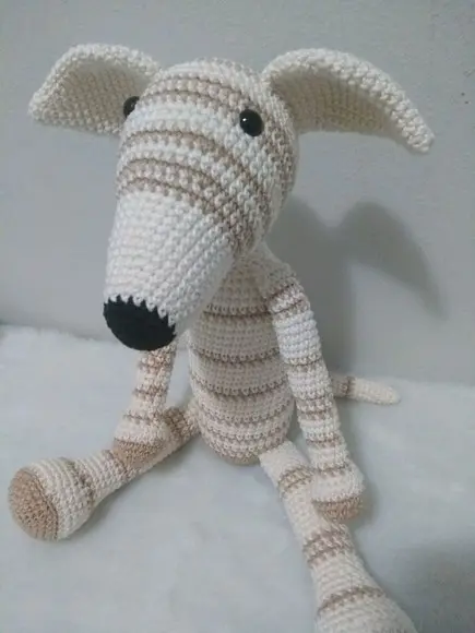 Cachorrinho Galgo Italiano
