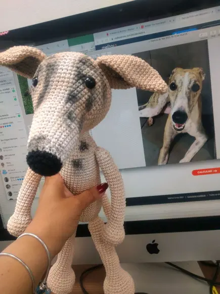 Cachorrinho Galgo ou Wippet