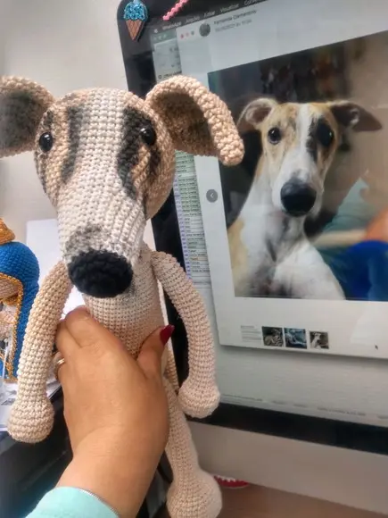 Cachorrinho Galgo ou Wippet