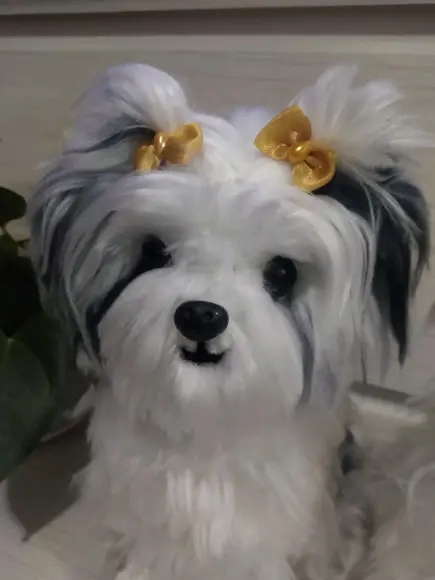 Cachorrinho Shitzu - Amigurumi de Crochê