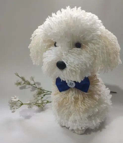 Cachorrinho Poodle - Amigurumi de Crochê