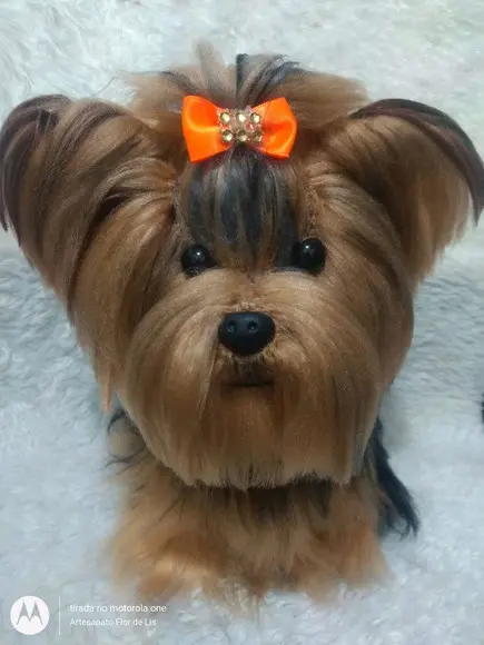 Cachorrinho Yorkshire - Amigurumi De Crochê
