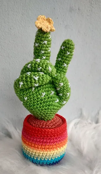 Cacto Paz e Amor