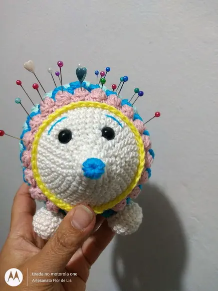 Porco Espinho Colorido
