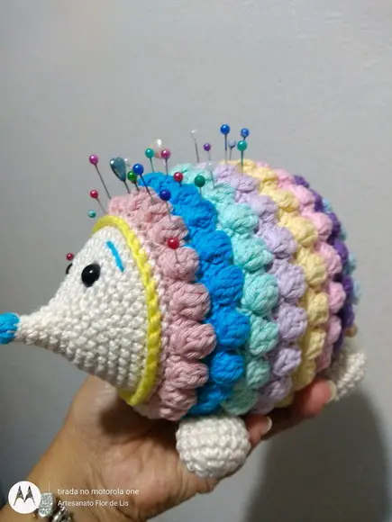 Porco Espinho Colorido