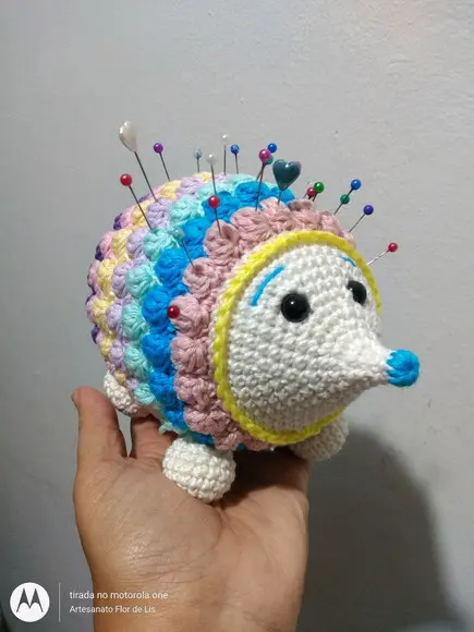 Porco Espinho Colorido