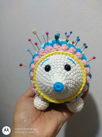 Porco Espinho Colorido