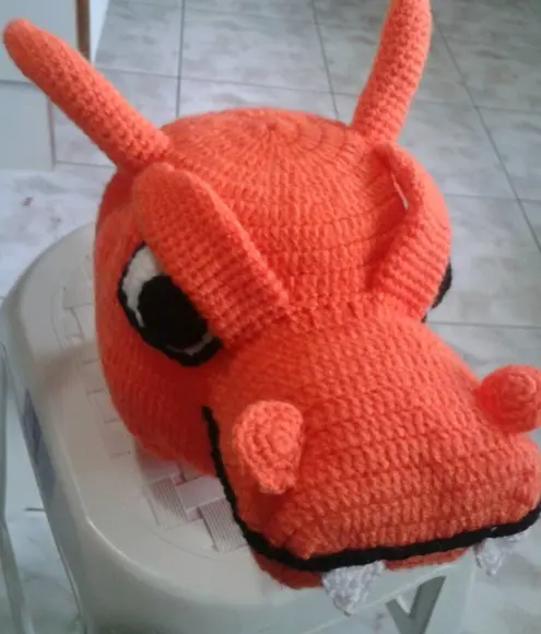 Touca Charizard Pokemon