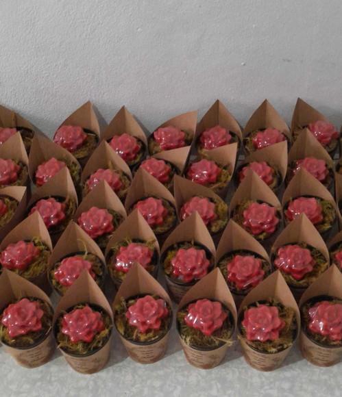 Kit de 100 Sabonetes Mini Suculentas Arranjo