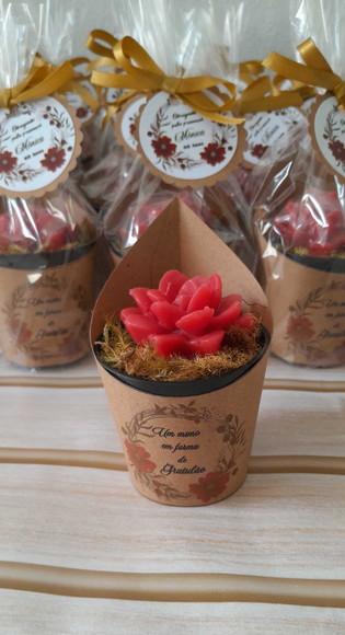 Kit de 100 Sabonetes Mini Suculentas Arranjo