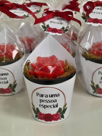 Sabonete Mini Suculentas Arranjo