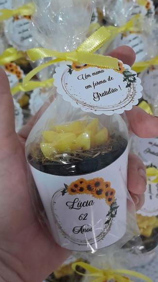 Sabonete Mini Suculentas Arranjo Aniversário