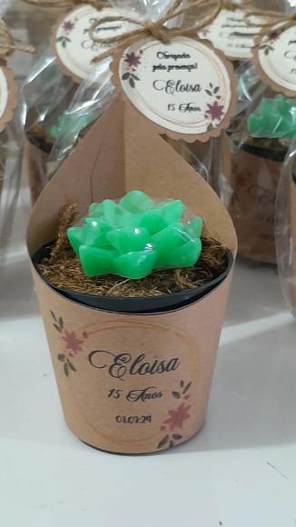 Sabonete Mini Suculentas Arranjo Lembrancinha 15 Anos