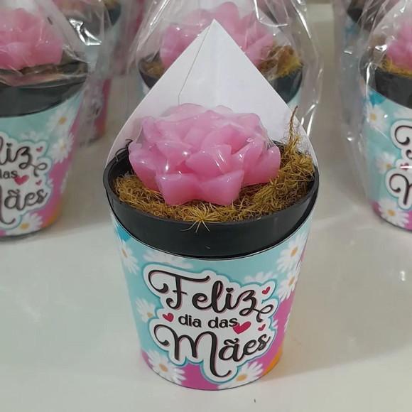Sabonete Mini Suculentas Arranjo Lembrancinha Dia das Mães