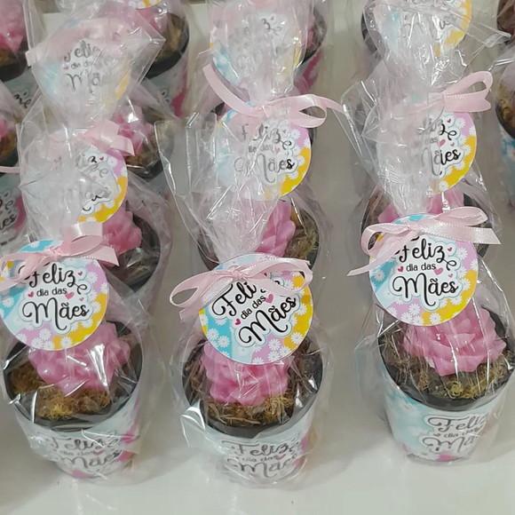 Sabonete Mini Suculentas Arranjo Lembrancinha Dia das Mães