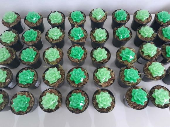 Sabonete Mini Suculentas Arranjo Lembrancinha Dia das Mães