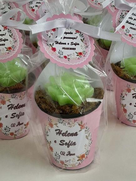 Sabonete Mini Suculentas Arranjo Lembrancinha Infantil
