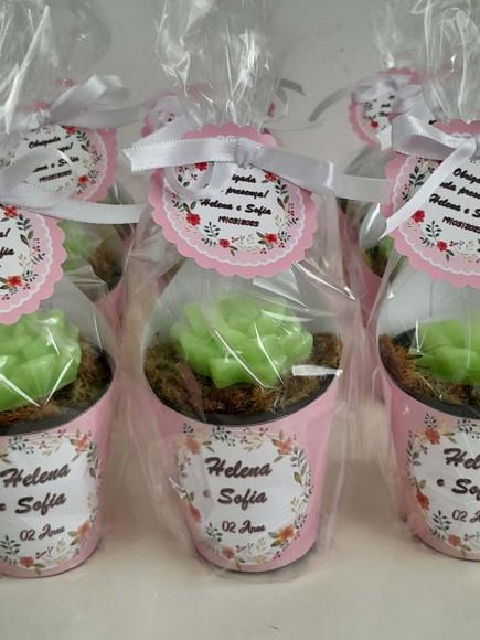 Sabonete Mini Suculentas Arranjo Lembrancinha Infantil