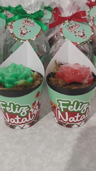 Sabonete Mini Suculentas Arranjo Lembrancinha Natal
