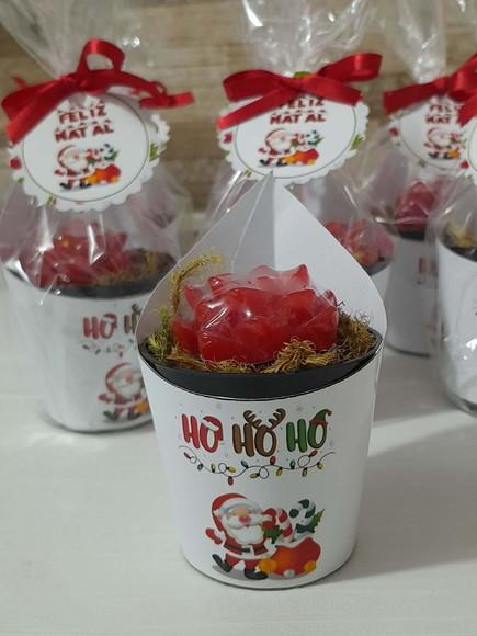 Sabonete Mini Suculentas Arranjo Lembrancinha Natal