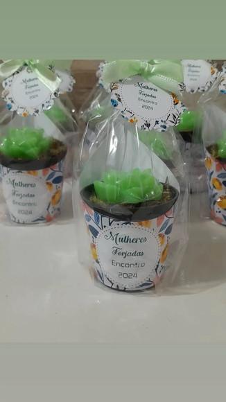 Sabonete Mini Suculentas Arranjo Lembrancinha Religiosa
