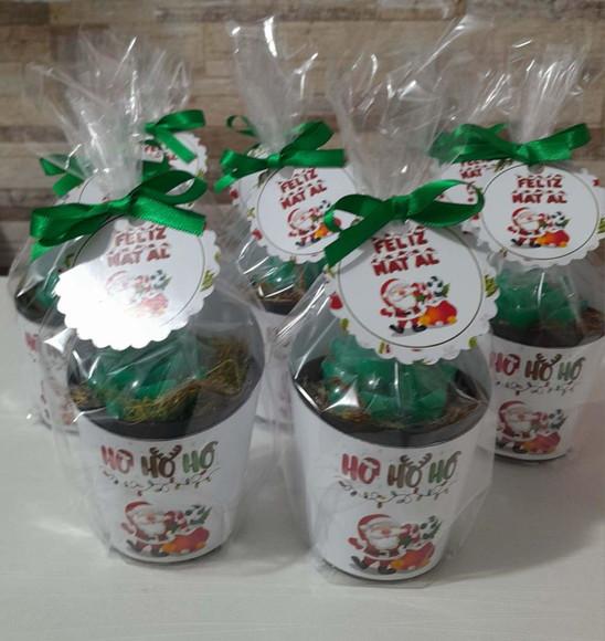 Sabonete Mini Suculentas Arranjo Lembrancinha Natal