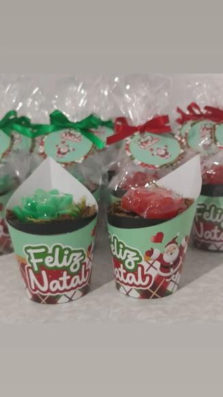 Sabonete Mini Suculentas Arranjo Lembrancinha Natal