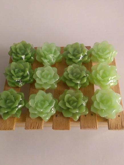 Sabonete Mini Suculentas Lembrancinha Casamento