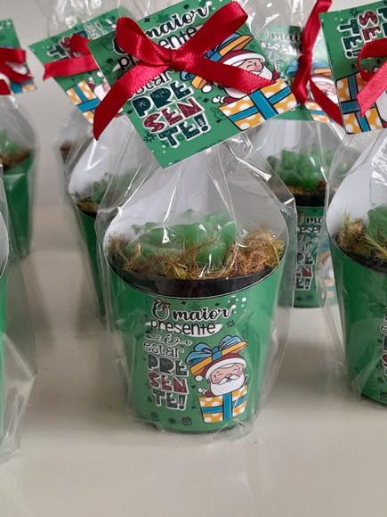 Sabonete Mini Suculentas Lembrancinha de Natal