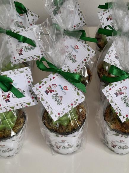 Sabonete Mini Suculentas Lembrancinha de Natal