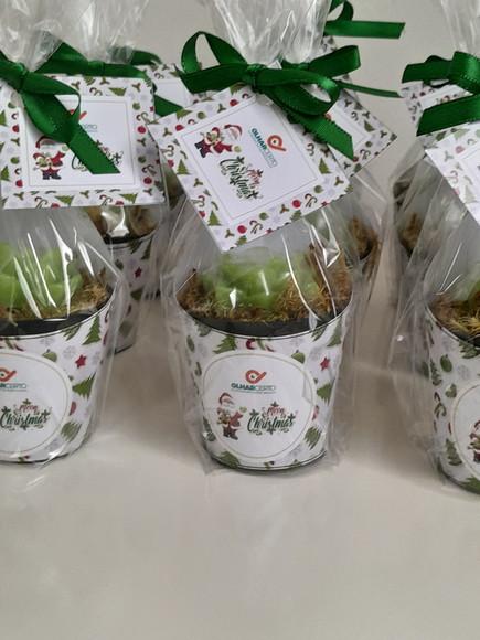 Sabonete Mini Suculentas Lembrancinha de Natal