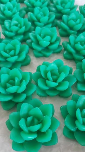 Sabonete Mini Suculentas Lembrancinha Dia das Mães